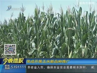 荣成市近期开展2015年主要农作物新品种展示