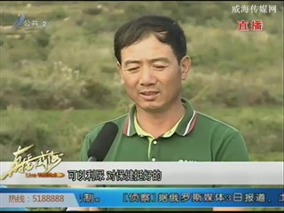稗子刘家村：品茗论道 感受茶文化