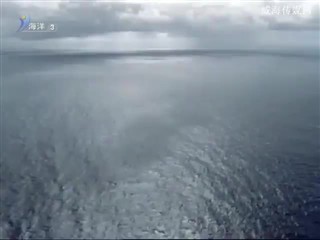 海洋气象 2016-11-02