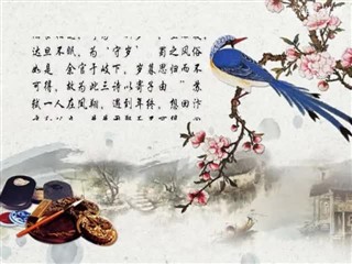 0220中华经典-诗词赏析-馈岁