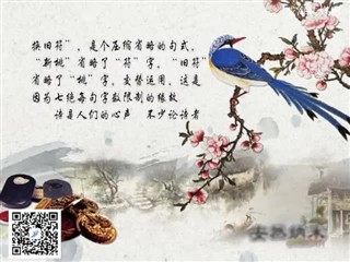 0216中华经典-诗词赏析-元日