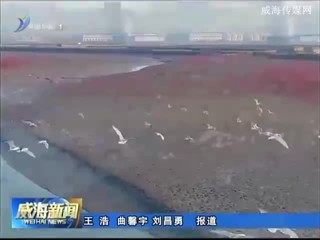 南海新区荣获“中国最美休闲度假胜地”称号